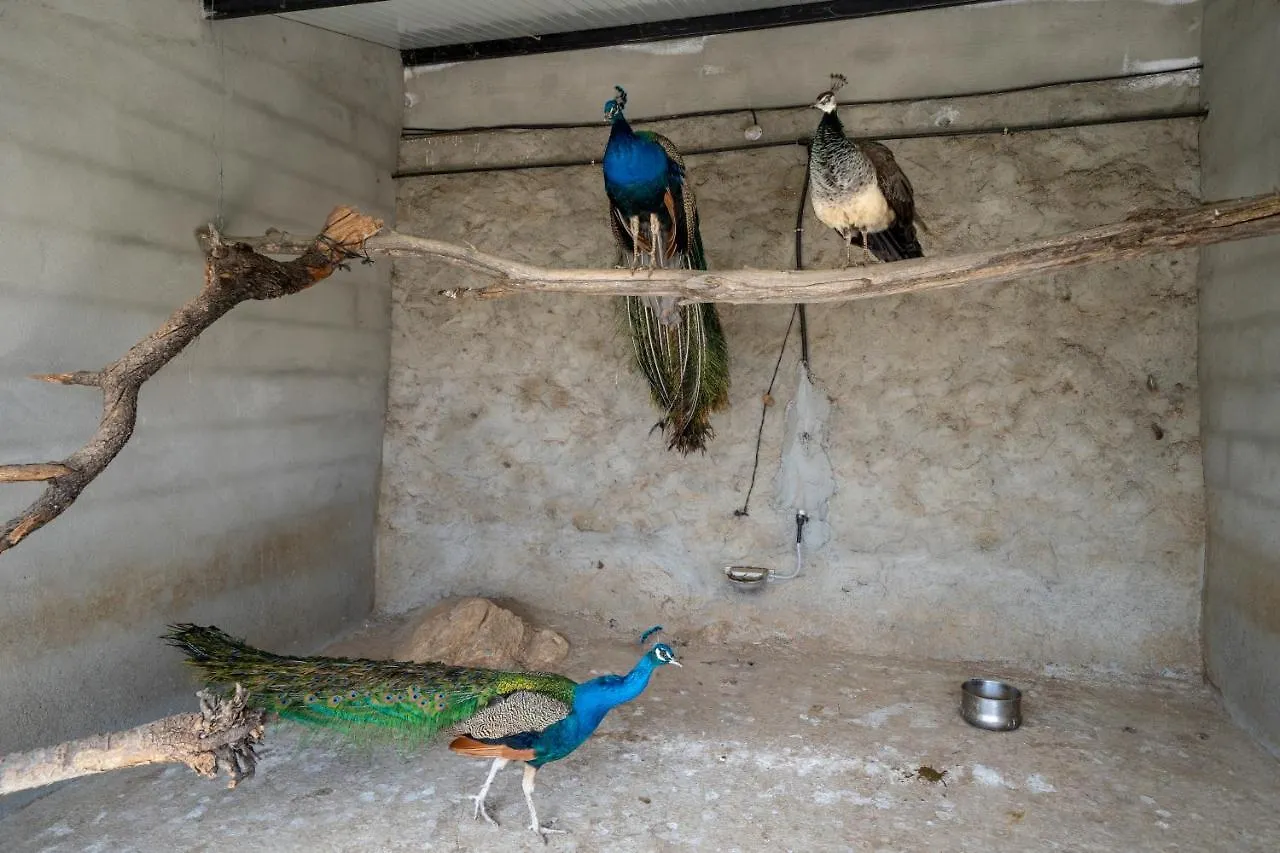 Reul Alto Cortijos Rurales Casa de hóspedes Laroya Espanha