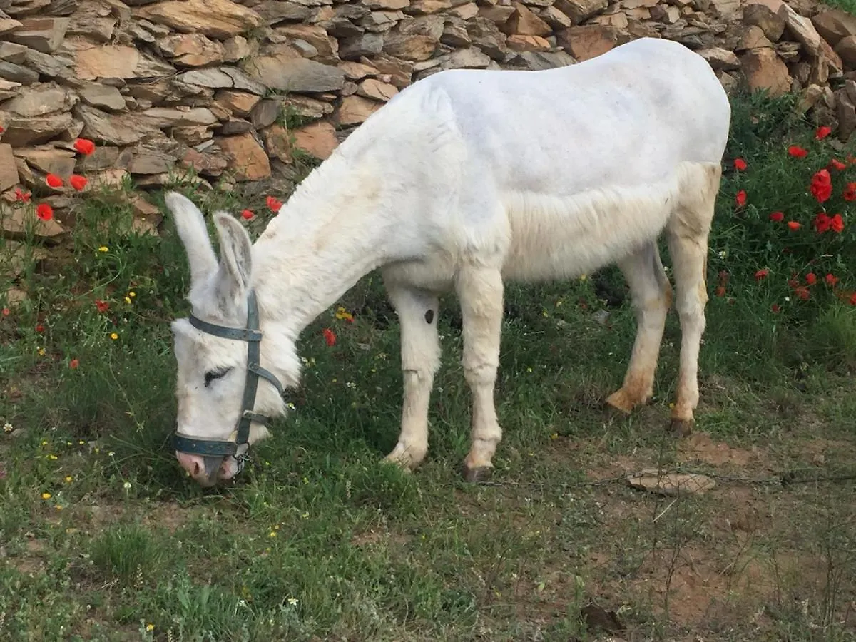 Reul Alto Cortijos Rurales Guest House Laroya 0*,